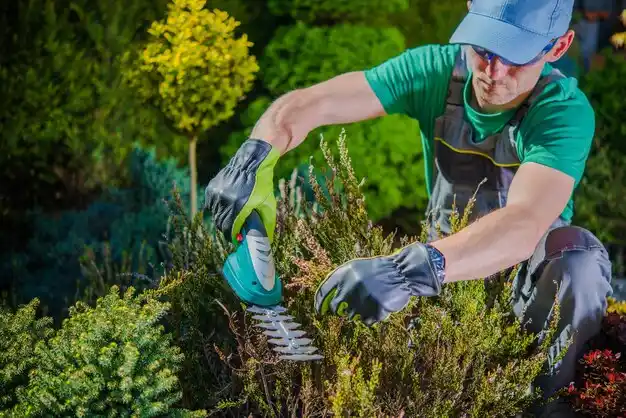 landscaping services Warrenton